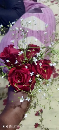 Rose 🌹  Bukey 300 Only 