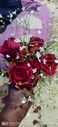 Rose 🌹  Bukey 300 Only 