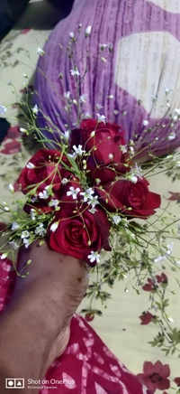 Rose 🌹  Bukey 300 Only 