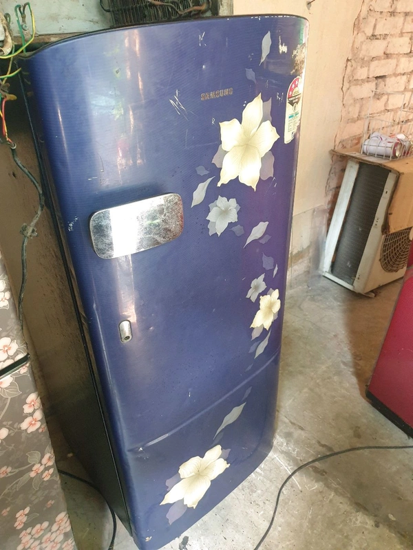 Samsung Printed  - 200 Litter Gross  - Single Door Refrigerator  - 290