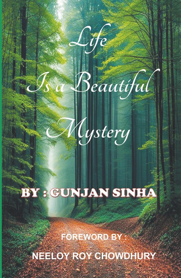 Life is a Beautiful Mystery (Paperback) - Black