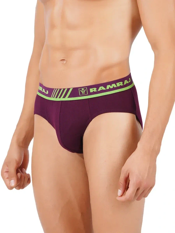 RAMRAJ BRIEF-GSR0002224 - 110