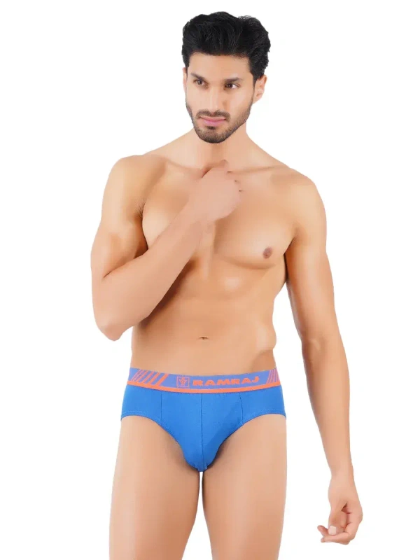 RAMRAJ BRIEF-GSR0002224 - 110