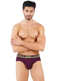 RAMRAJ BRIEF-GSR0002224 - 110