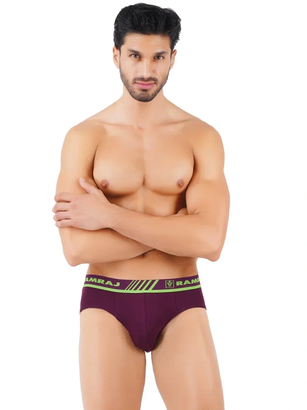 RAMRAJ BRIEF-GSR0002224 - 110