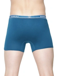 RAMRAJ TRUNK-GSR0002225 - 95