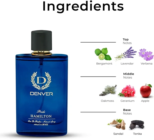 Denver Mogul Perfume-GSR000008 - 30 ML