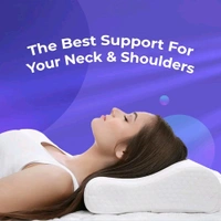 Centuary Bounce Pillows