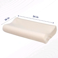 Centuary Bounce Pillows
