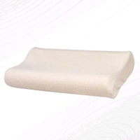 Centuary Bounce Pillows