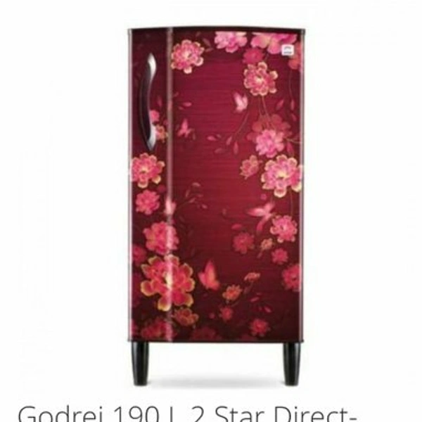 Godrej Refrigerator Direct Cooling 205 B TDF Joy Wine  - 190L