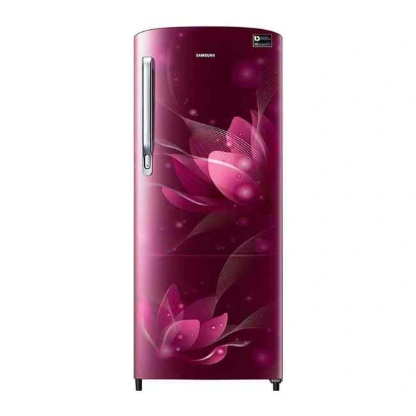 Samsung  RR20N172YR8 - 192
