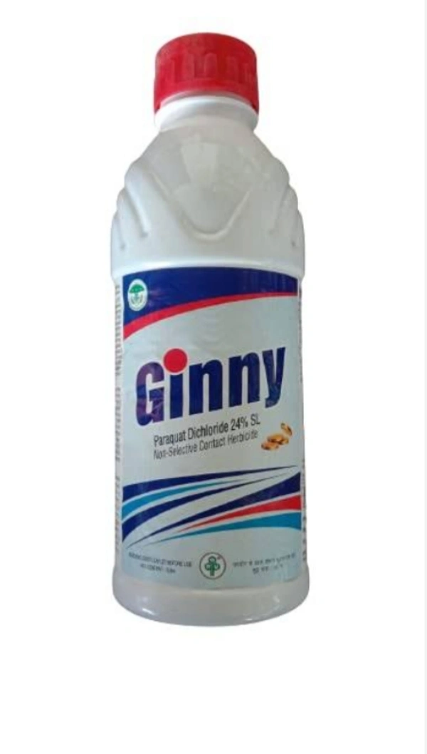Ginny - 500ml