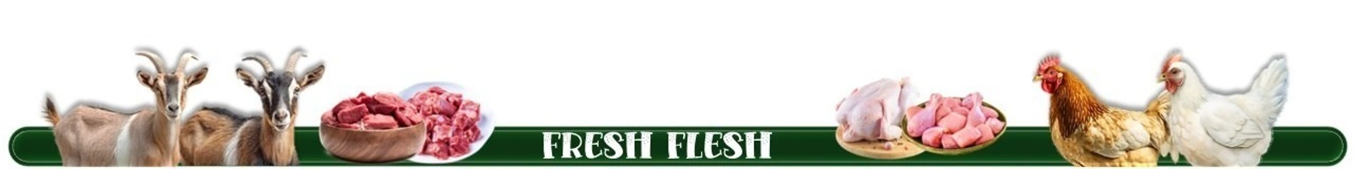Fresh Meat