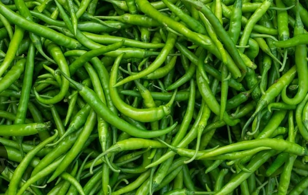 Green chilli - 1kg