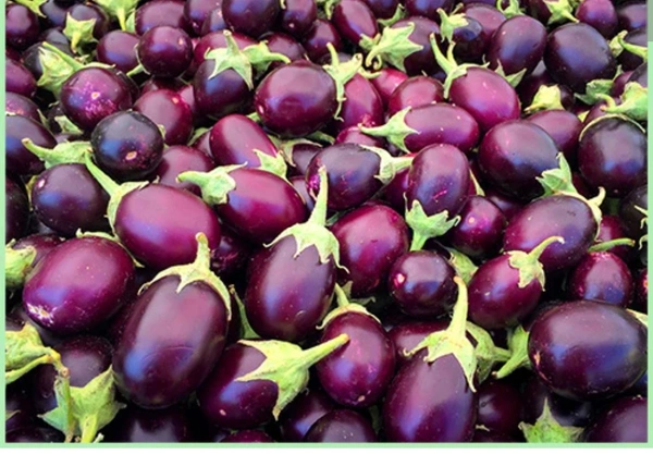 Brinjal - 1kg