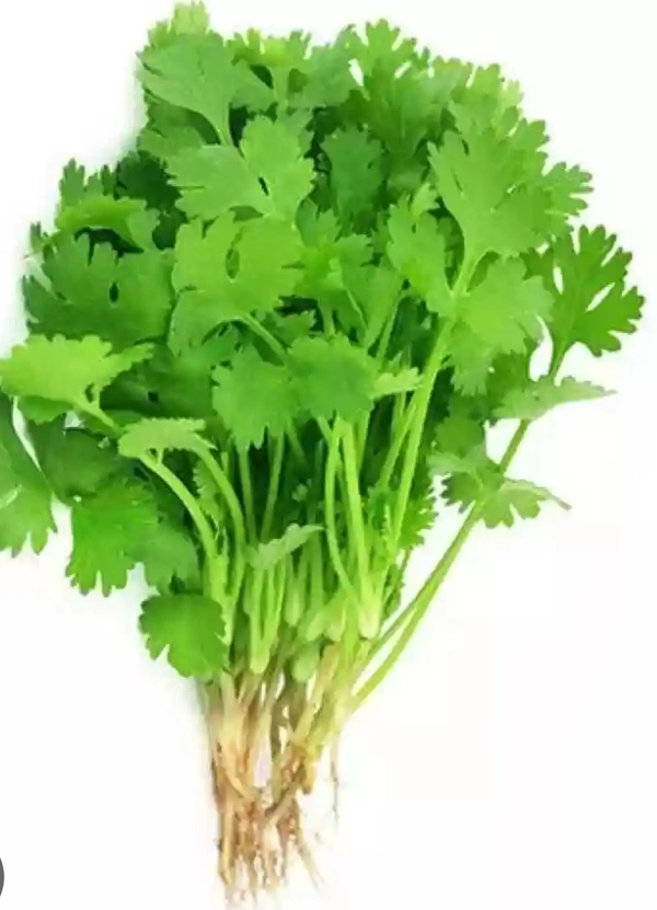 Coriander leaves 1pc