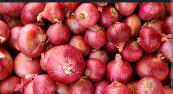 Onion Big Size - 1kg