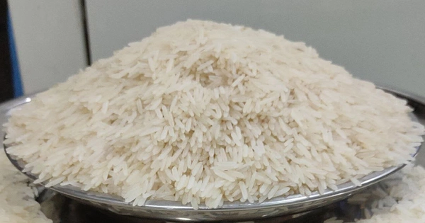 Latest Basmati Rice  - Loose 1kg