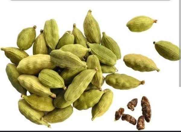 Elachi Big 25g