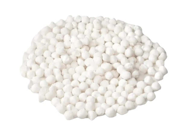 Sabu Dana Big Size - 500g
