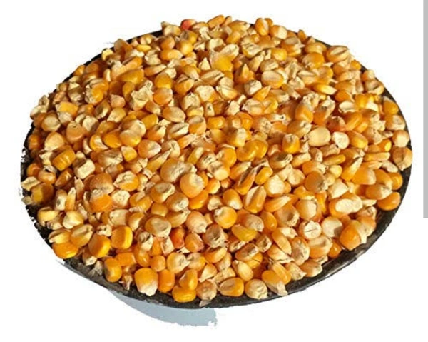 Popcorn Seeds 200g