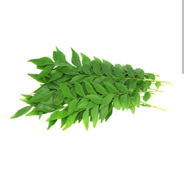 Carry Leaf 