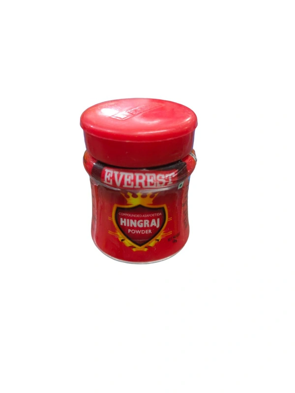 Everest Hing Powder - 10g