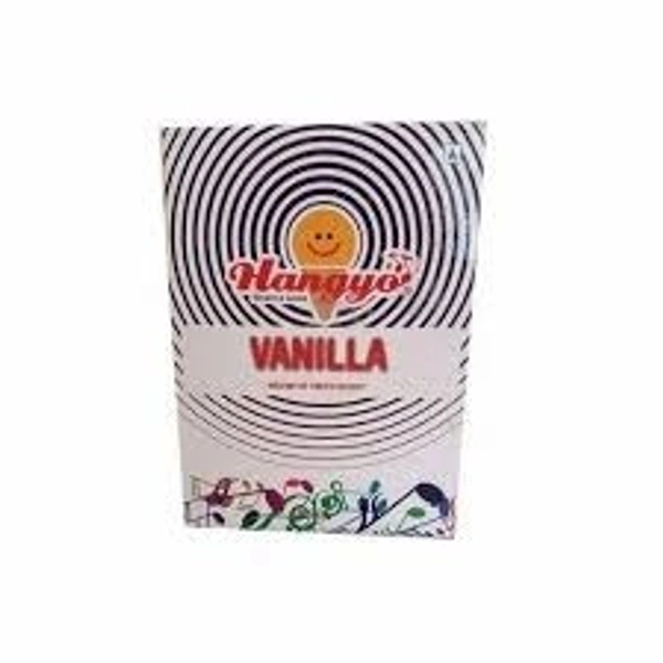 Hangyo Icecream Carton Pack 4Ltr - Vanilla