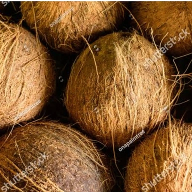 Coconut