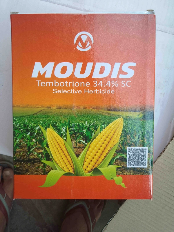 Modis