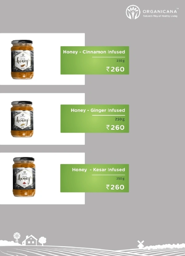ORGANIC HONEY - Ginger Honey