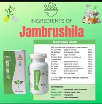 VIRGO UAP PHARMA JAMBRUSHILA जांब्रूशिला - 100 Tab X 1Pack