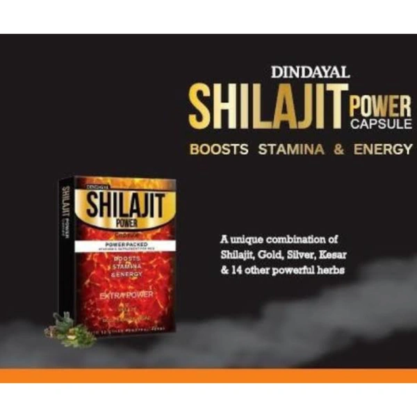 DINDAYAL AUSHDHI SHILAJIT POWER (GOLD POWER) CAP - 10CAPSULE x 2pc