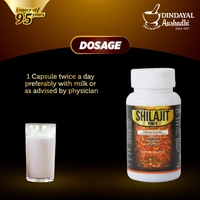 DINDAYAL AUSHDHI SHILAJIT POWER (GOLD POWER) CAP - 10CAPSULE x 2pc