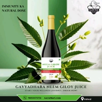 Neem Giloy Juice with Tulsi, 500ml - 500ml