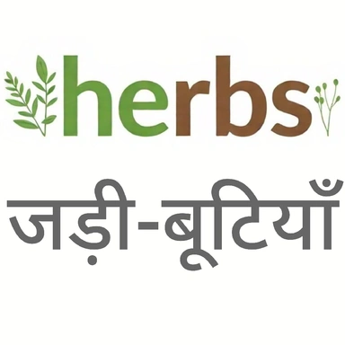 Herbs जड़ी-बूटियाँ