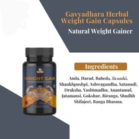 GAVYADHARA Herbal Capsules for Weight Gain - 60 Capsules