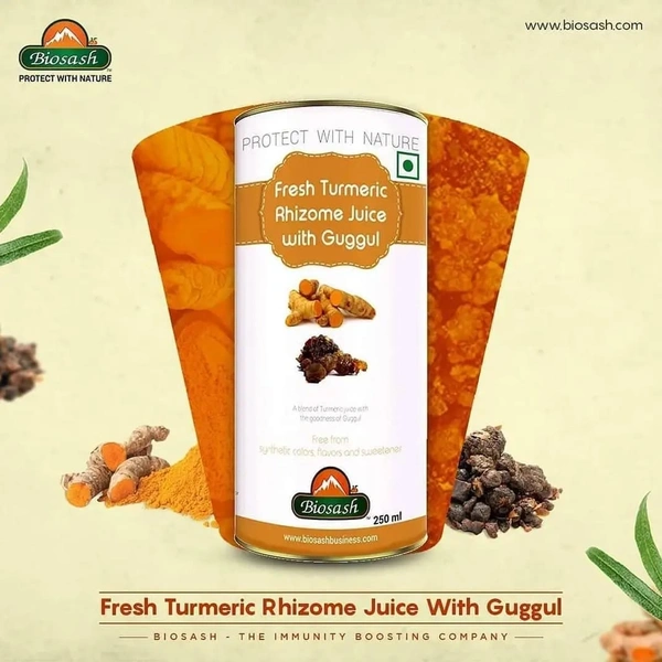 BIOSASH BUSINESS PVT. LTD. FRESH TURMERIC RHIZOME JUICE WITH GUGGUL - 250 ML, Bright Sun