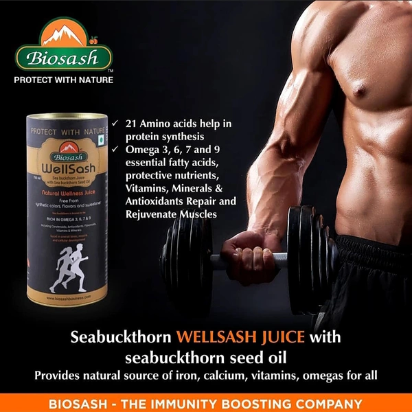 BIOSASH BUSINESS PVT. LTD. WELLSASH SEA BUCKTHORN JUICE
