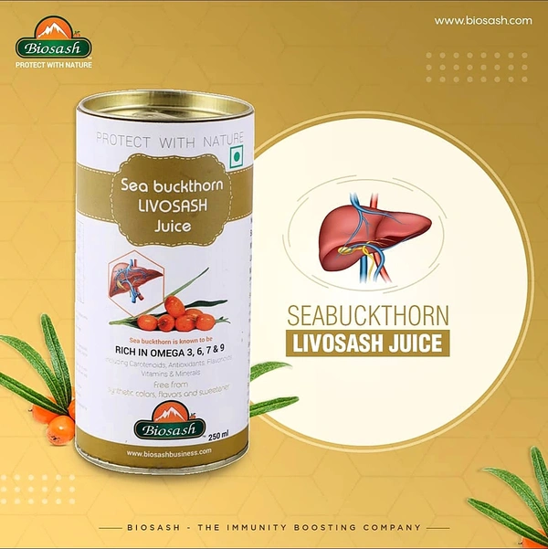 BIOSASH BUSINESS PVT. LTD. SEA BUCKTHORN LIVOSASH JUICE - 750 Ml