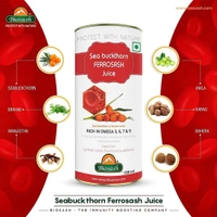 BIOSASH BUSINESS PVT. LTD. SEA BUCKTHORN FERROSASH JUICE - 750 Ml