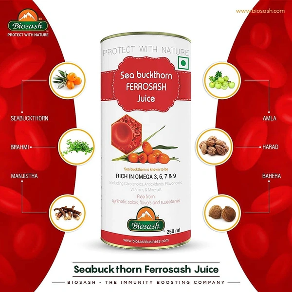 BIOSASH BUSINESS PVT. LTD. SEA BUCKTHORN FERROSASH JUICE - 750 Ml