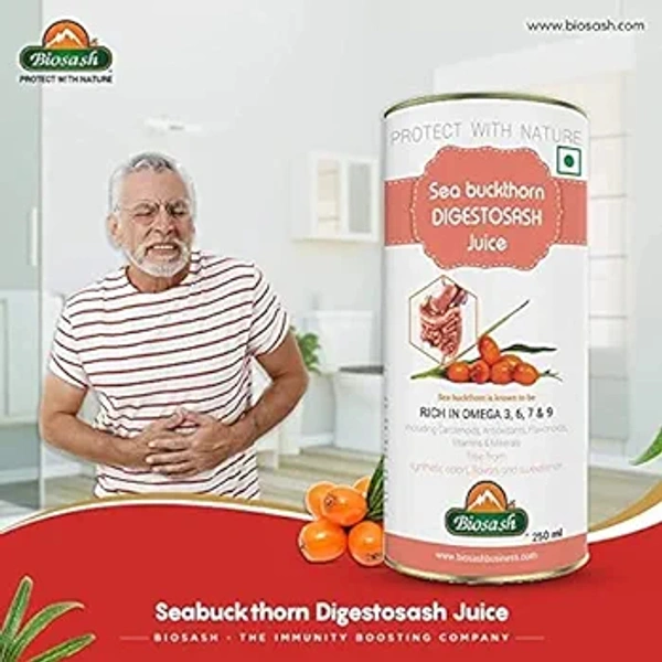 BIOSASH BUSINESS PVT. LTD. SEA BUCKTHORN DIGESTOSASH JUICE - 250 My