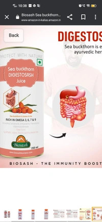 BIOSASH BUSINESS PVT. LTD. SEA BUCKTHORN DIGESTOSASH JUICE - 250 My