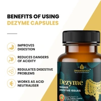 Dezyme CapsulesDigestion Expert