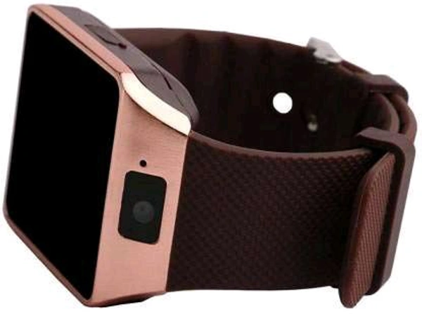 Spring Jump Bluetooth DZ09 Golden Smart Watch with Touchscreen, Multifunctional TF & SIM Card Support Camera, and Multi-Language for All Smartphones - Free Size, Bourbon