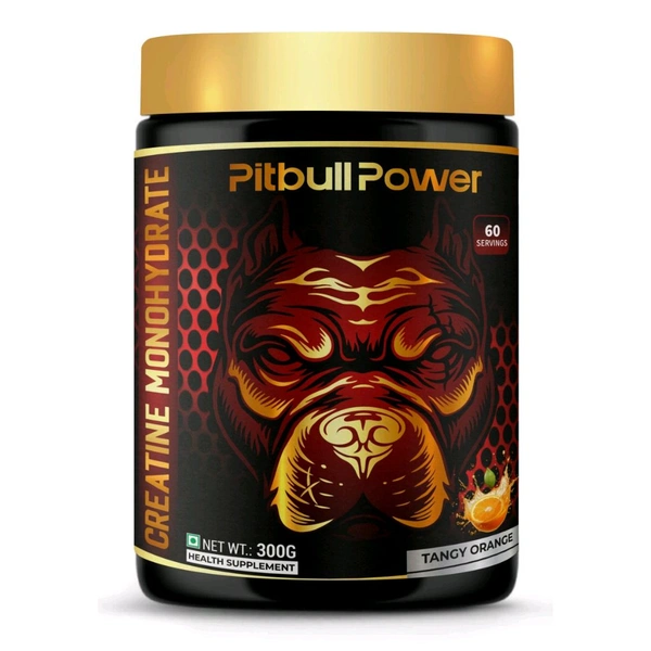 PITBULL POWER CREATINE ORANGE 🍊 300GM - Gold, 300gm