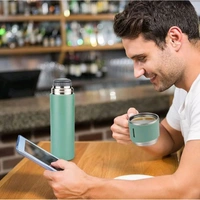 Stainless Steel Vaccum Thermo Flask 500ml