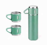 Stainless Steel Vaccum Thermo Flask 500ml